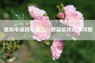 提高电磁战斗能力：碧蓝航线战术攻略