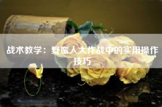 战术教学：野蛮人大作战中的实用操作技巧
