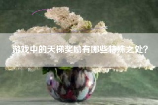 游戏中的天梯奖励有哪些特殊之处？