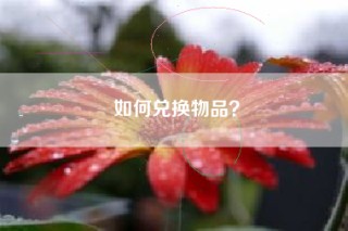 如何兑换物品？
