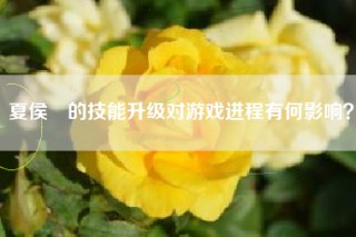 夏侯惇的技能升级对游戏进程有何影响？