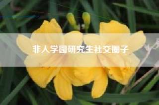 非人学园研究生社交圈子