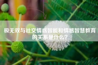 极无双与社交情感智能和情感智慧教育的关系是什么？