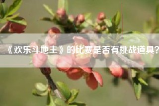 《欢乐斗地主》的比赛是否有挑战道具？