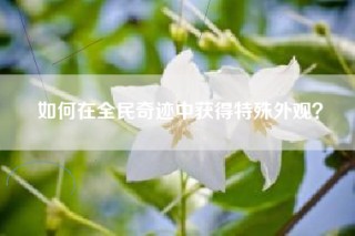 如何在全民奇迹中获得特殊外观？