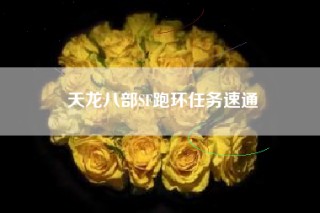 天龙八部SF跑环任务速通