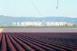什么是限时商店，如何购物？