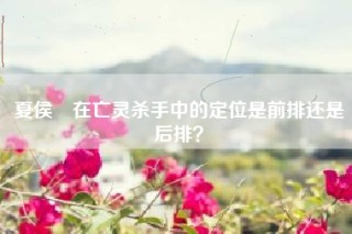 夏侯惇在亡灵杀手中的定位是前排还是后排？