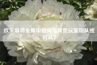 欢乐麻将全集中如何与其他玩家组队或对战？