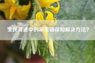 全民奇迹中的常见错误和解决方法？