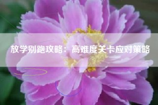 放学别跑攻略：高难度关卡应对策略