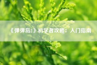 《弹弹岛2》初学者攻略：入门指南