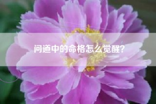 问道中的命格怎么觉醒？