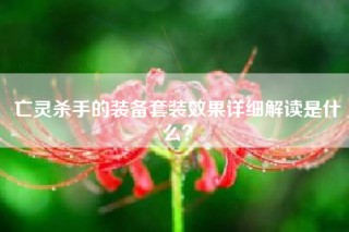 亡灵杀手的装备套装效果详细解读是什么？