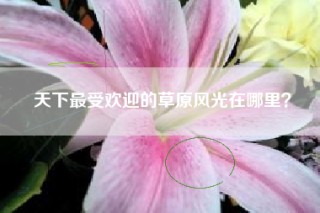 天下最受欢迎的草原风光在哪里？