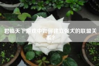 君临天下游戏中如何建立强大的联盟关系？