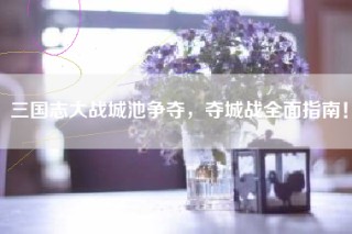 三国志大战城池争夺，夺城战全面指南！