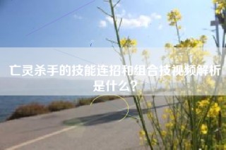 亡灵杀手的技能连招和组合技视频解析是什么？