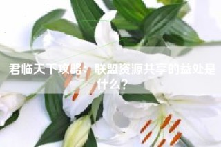 君临天下攻略：联盟资源共享的益处是什么？