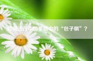如何进行中国象棋中的“包子棋”？