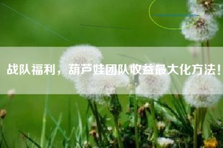 战队福利，葫芦娃团队收益最大化方法！