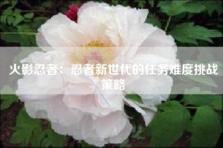 火影忍者：忍者新世代的任务难度挑战策略