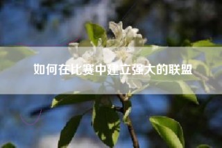 如何在比赛中建立强大的联盟