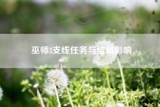 巫师3支线任务与结局影响