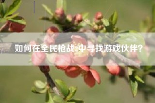 如何在全民枪战2中寻找游戏伙伴？