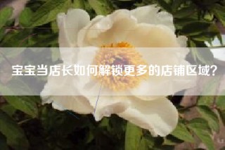 宝宝当店长如何解锁更多的店铺区域？