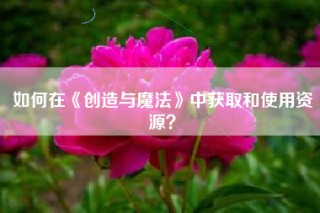 如何在《创造与魔法》中获取和使用资源？
