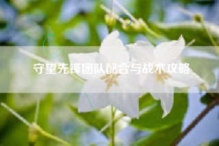守望先锋团队配合与战术攻略