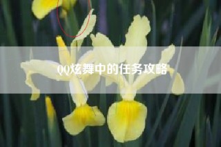 QQ炫舞中的任务攻略