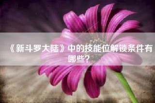 《新斗罗大陆》中的技能位解锁条件有哪些？