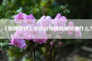 《棋牌游戏》中的特殊牌局规则是什么？