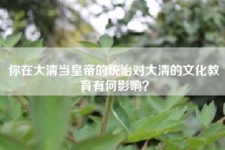 你在大清当皇帝的统治对大清的文化教育有何影响？