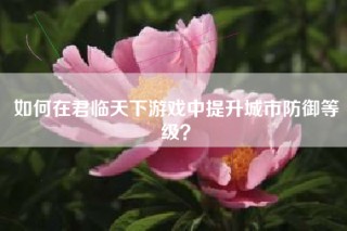 如何在君临天下游戏中提升城市防御等级？