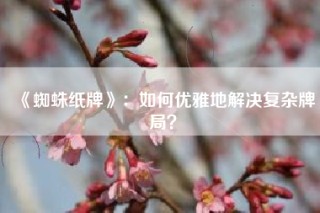 《蜘蛛纸牌》：如何优雅地解决复杂牌局？