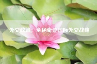 外交政策：全民奇迹国际外交战略