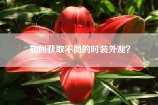 如何获取不同的时装外观？