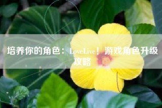 培养你的角色：LoveLive！游戏角色升级攻略
