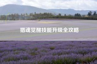 猎魂觉醒技能升级全攻略