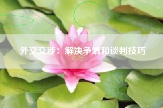 外交交涉：解决争端和谈判技巧