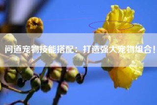 问道宠物技能搭配：打造强大宠物组合！