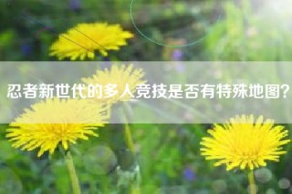 忍者新世代的多人竞技是否有特殊地图？