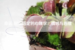 命运-冠位指定的心理学：情感与思维
