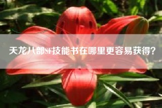 天龙八部SF技能书在哪里更容易获得？