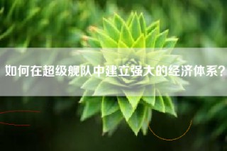 如何在超级舰队中建立强大的经济体系？