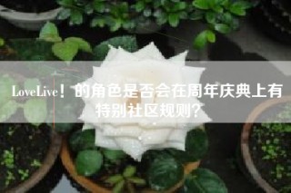 LoveLive！的角色是否会在周年庆典上有特别社区规则？