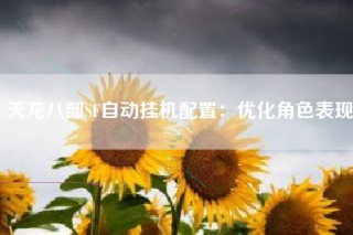天龙八部SF自动挂机配置：优化角色表现